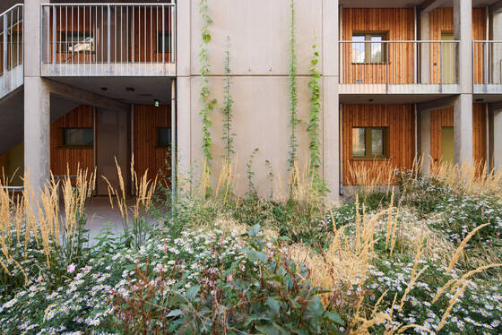 Freiraumplanung Tivoligasse – Woody M